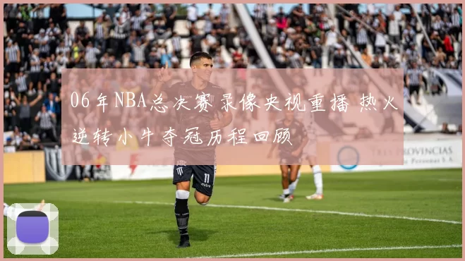 06年NBA总决赛录像央视重播 热火逆转小牛夺冠历程回顾