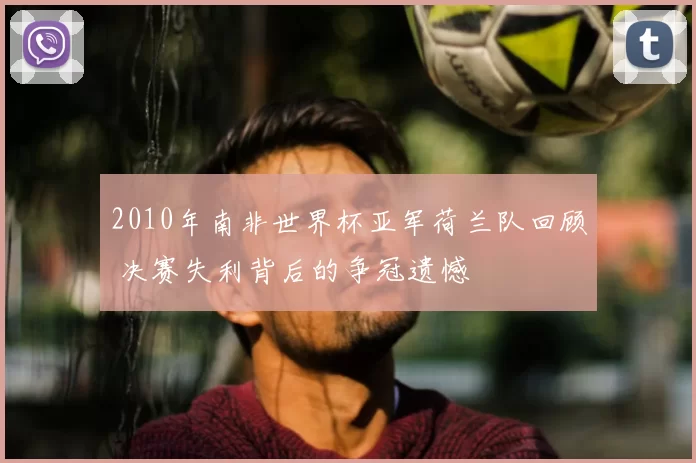 2010年南非世界杯亚军荷兰队回顾 决赛失利背后的争冠遗憾