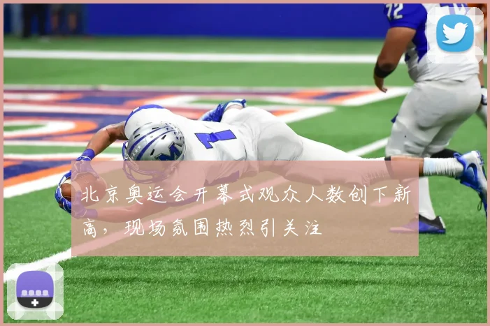 北京奥运会开幕式观众人数创下新高,现场氛围热烈引关注